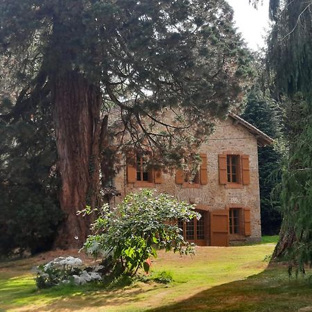 Maison Des Sequoias - Parc 1 Hectare- Veyrac Exteriör bild